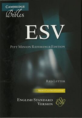 ESV Pitt Minion Reference Bible,  Tan/Burgundy