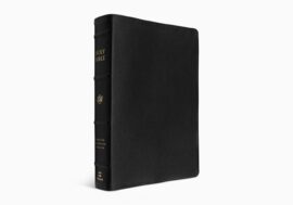 ESV Preaching Bible, Verse-by-Verse edition, Black Goatskin