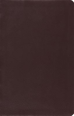 ESV Large Print Thinline Reference Bible (Brown)