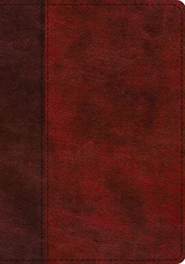 ESV Single Column Journaling Bible, Large Print (TruTone, Burgundy/Red, Timeless Design)