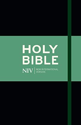 NIV Thinline Cloth Bible