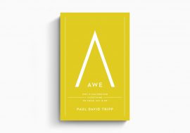 Awe: Why It Matters for Everything We Think, Say, and Do