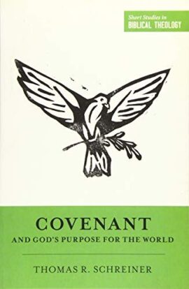 Covenant and God’s Purpose for the World (Used Copy)