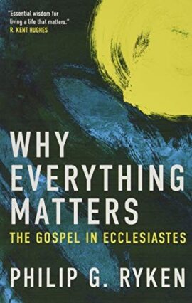Why Everything Matters: The Gospel in Ecclesiastes