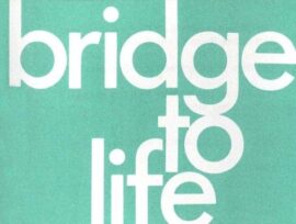 Bridge To Life 50-pack Format: Book