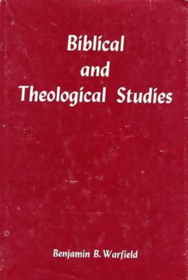 Biblical and Theological Studies (Used Copy)