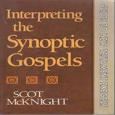 Interpreting the Synoptic Gospels (Guides to New Testament Exegesis) Used Copy