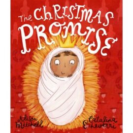 The Christmas Promises
