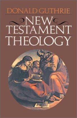New Testament Theology (Used Copy)