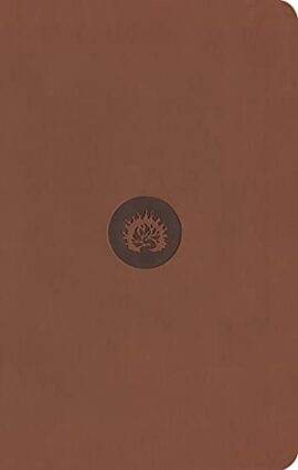 ESV RSB Student Edition, Brown, Leather-Like