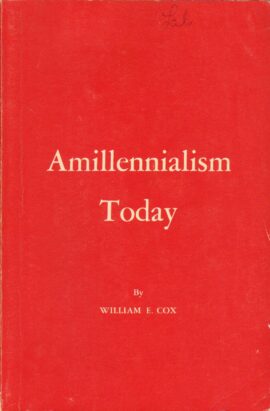Amillennialism Today (Used Copy)