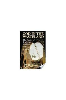God in the Wasteland (Used Copy