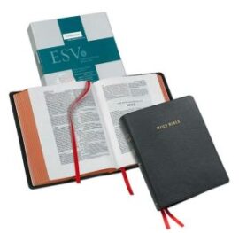 ESV Wide Margin Reference Bible, Black Edge-lined Goatskin Leather, Red-letter Text, ES746:XRME