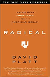 Radical: Taking Back Your Faith from the American Dream (Used Copy)