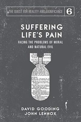 Suffering Life’s Pain: Facing the Problems of Moral and Natural Evil (The Quest for Reality and Significance) (Used Copy)