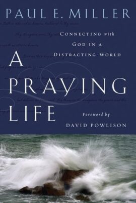 A Praying Life: Connecting With God In A Distracting World (Used Copy)