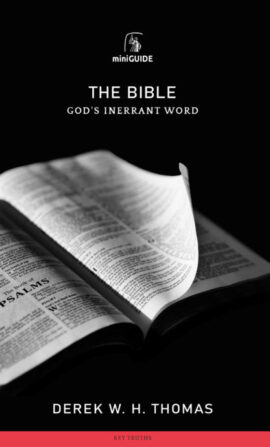 The Bible (Banner Mini Guides)
