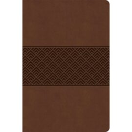 CSB Everyday Study Bible (Brown)