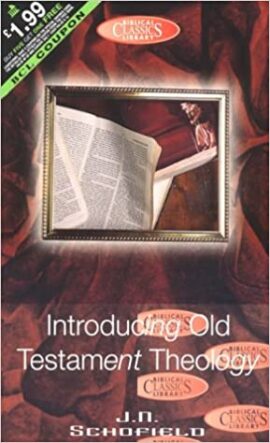 Introducing Old Testament Theology(Used copy)