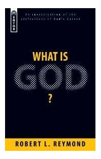 What Is God?: An investigation of the perfections of Gods nature (Used Copy)
