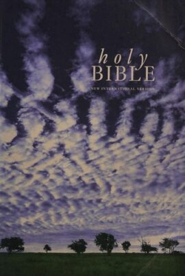The Holy Bible NIV (Used Copy)