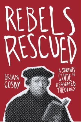 Rebels Rescued (Used copy)