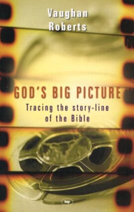 God’s Big Picture (Used Copy)