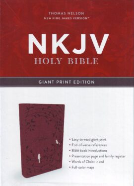 Holy Bible King James Version Giant Print Edition Leathersoft Cover