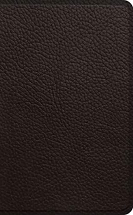 ESV Pocket Bible (Buffalo Leather, Deep Brown)