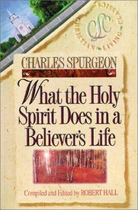 What the Holy Spirit Does in a Believer’s Life (Believer’s Life Series) Used Copy