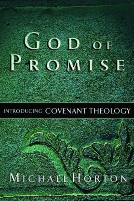 God of Promise: Introducing Covenant Theology (Used Copy)