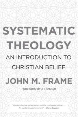 Systematic Theology: An Introduction to Christian Belief (Used Copy)