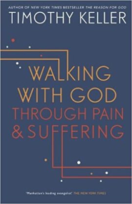 Walking with God Through Pain and Suffering (Used Copy)
