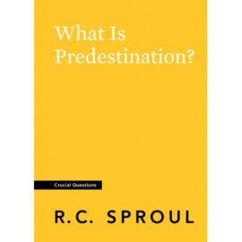 What Is Predestination? (Crucial Questions)