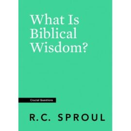What Is Biblical Wisdom? (Crucial Questions)