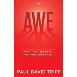 Awe: Why it Matters in All We Think, Say and Do