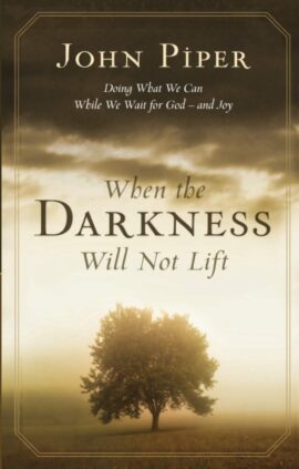When the darkness will not lift: Doing What We Can While Waiting for God – and Joy (Used Copy)