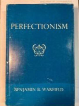 Perfectionism (Used Copy)
