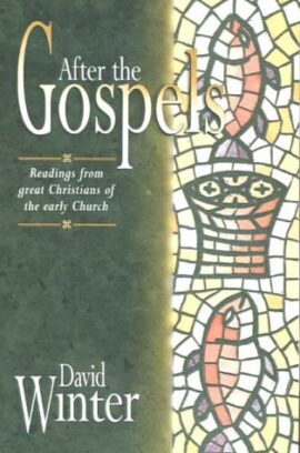 After the Gospels (Used Copy)