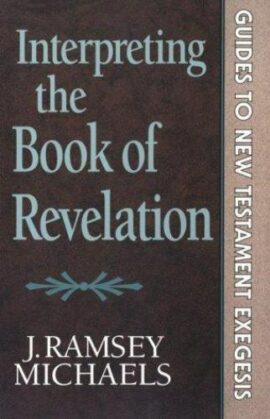 Interpreting the book of Revelation (Used Copy)