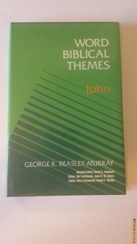 Word Biblical Themes – John (Used Copy)