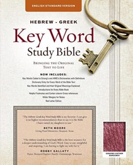 The Hebrew-Greek Key Word Study Bible: ESV Edition, Burgundy Genuine Leather (Key Word Study Bibles)Used Copy