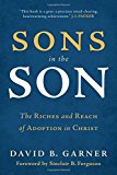 Sons in the Son (Used Copy)