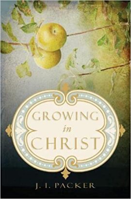 Growing in Christ (Used Copy)