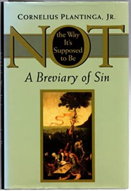 Not the Way It’s Supposed to Be: A Breviary of Sin (Used Copy)
