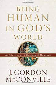 Being Human in God’s World: An Old Testament Theology of Humanity (Used Copy)