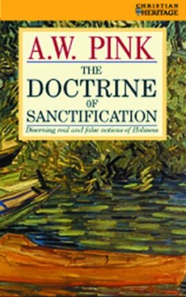 The Doctrine of Sanctification: Discerning real and false notions of Holiness (Used Copy)