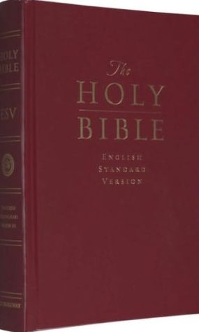 The Holy Bible ESV (Used Copy)