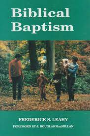 Biblical Baptism (Used Copy)