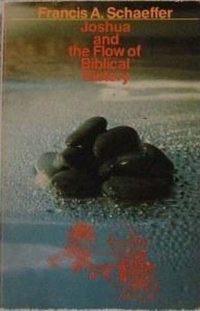 Joshua and the Flow of Biblical history (Used Copy)